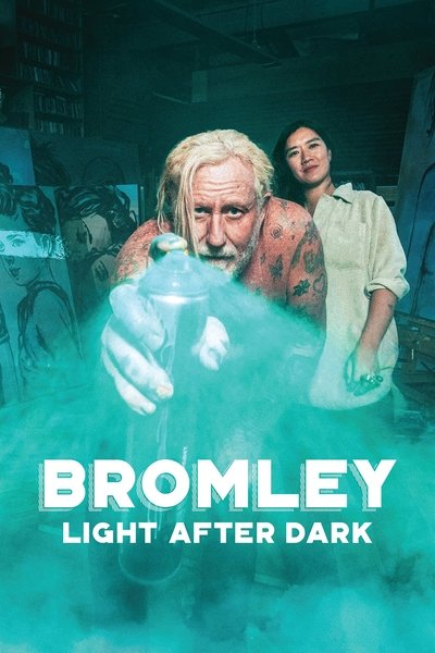 Poster do Filme Bromley: Light After Dark