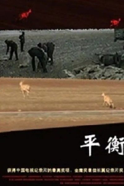 Poster do Filme 平衡