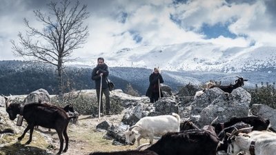 tv poster