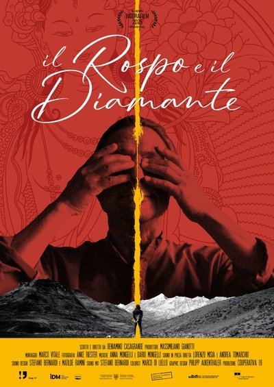 Poster do Filme Il rospo e il diamante
