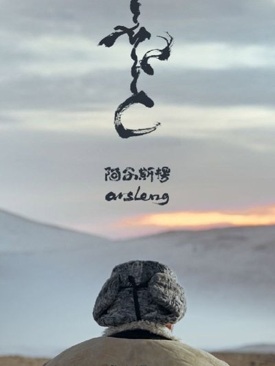 Poster do Filme Arsleng