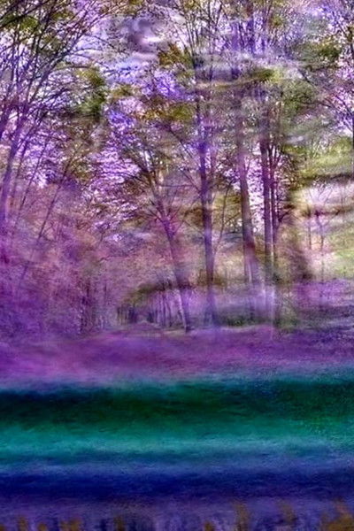 Poster do Filme Japa n°4