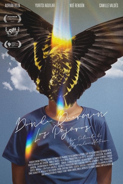 Poster do Filme Donde duermen los pájaros