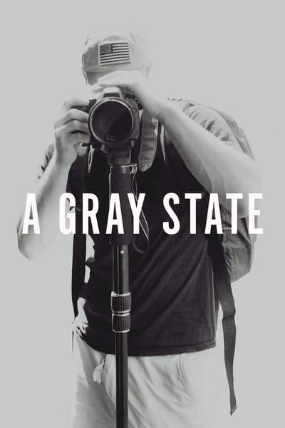 Poster for the movie A Gray State