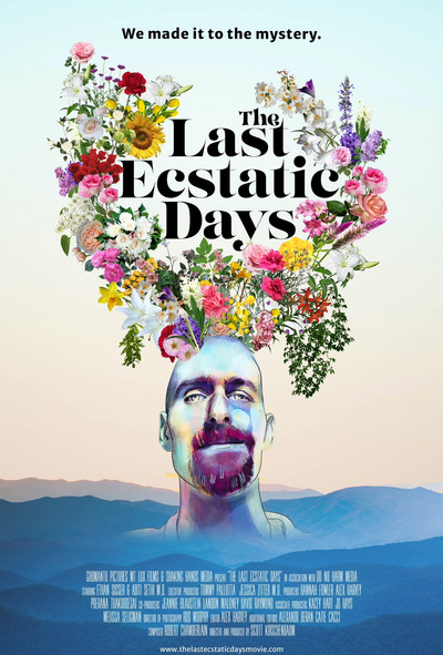Poster do Filme The Last Ecstatic Days