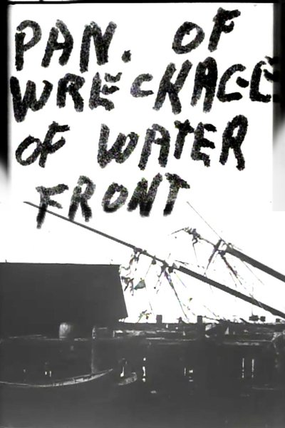 Poster do Filme Panorama of Wreckage of Water Front