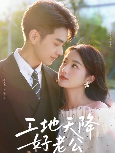 poster for 工地天降好老公