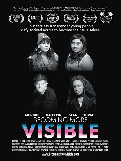 Poster do Filme Becoming More Visible