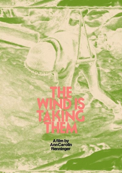 Poster do Filme Der Wind nimmt die mit