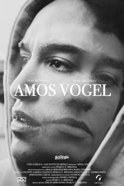 Amos, Vogel