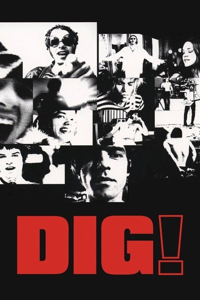 Poster for the movie Dig!