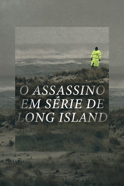 Poster do Filme O Assassino em Série de Long Island