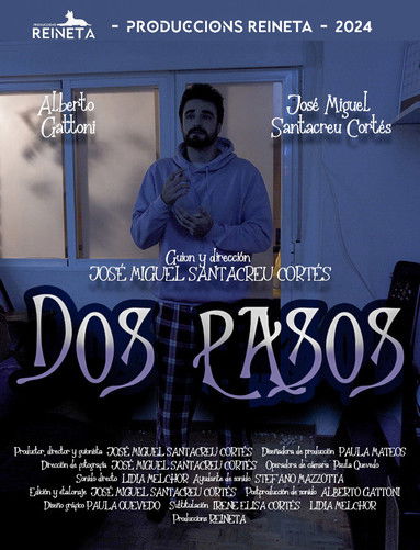 Poster do Filme Dos pasos