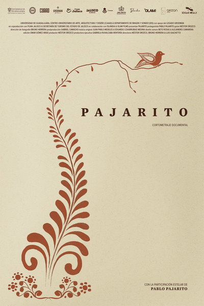 Pajarito