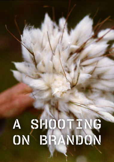 Poster do Filme A Shooting on Brandon
