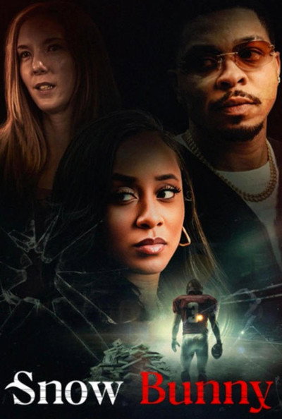 Poster do Filme Snow Bunny