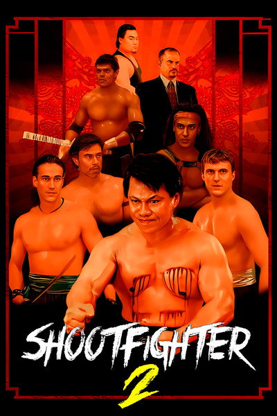 Poster do Filme Shootfighter 2
