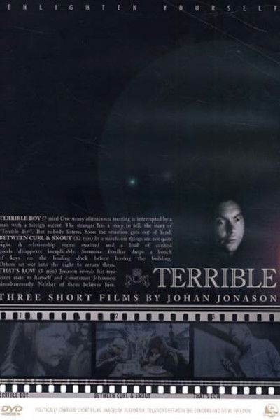 Poster do Filme Terrible