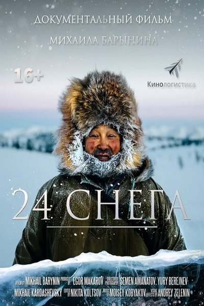 Poster do Filme 24 снега