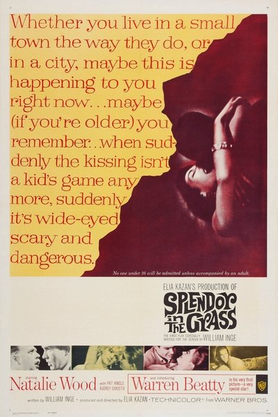 Splendor in the Grass (1961)