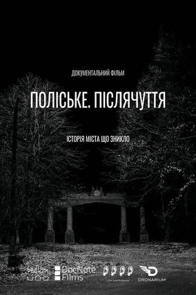 Poster do Filme Поліське. Післячуття
