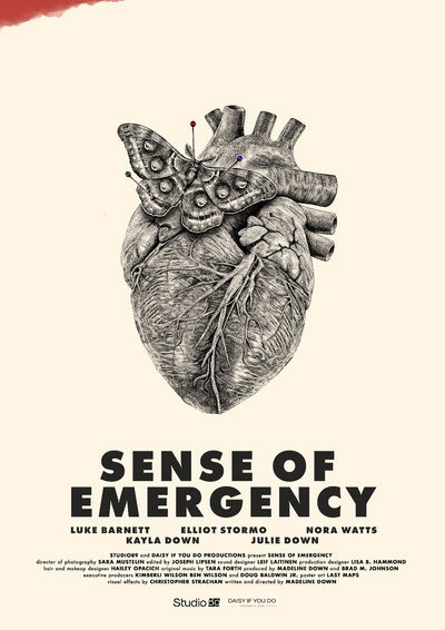 Poster do Filme Sense of Emergency