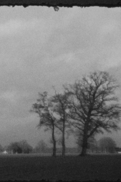 Poster do Filme Landscape as Landscape 4