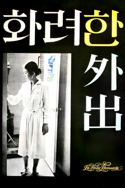 Poster do Filme 화려한 외출