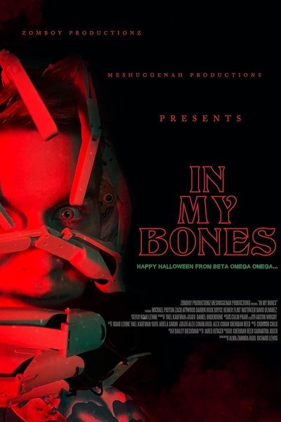 Poster do Filme In My Bones