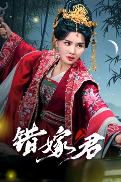 poster for 错嫁君
