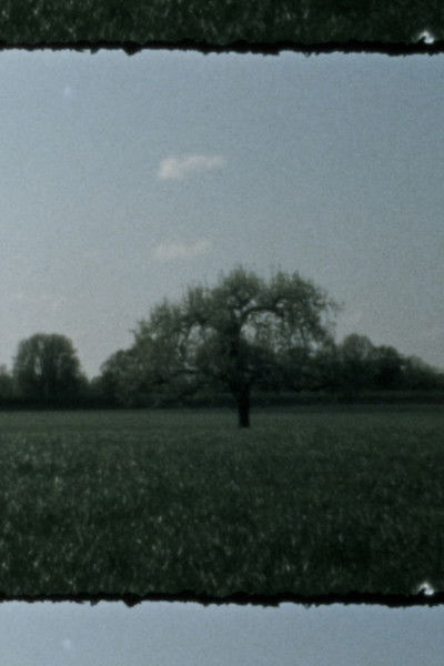 Poster do Filme Landscape as Landscape 3