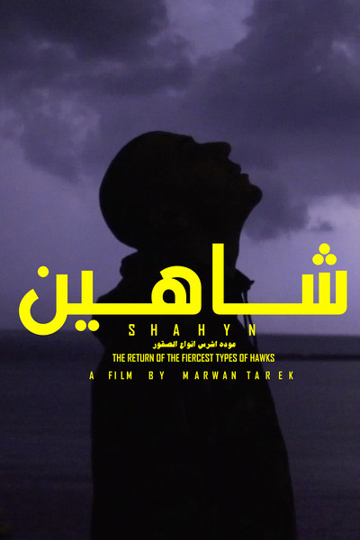 SHAHYN - THE RETURN OF THE FIERCEST TYPES OF HAWKS