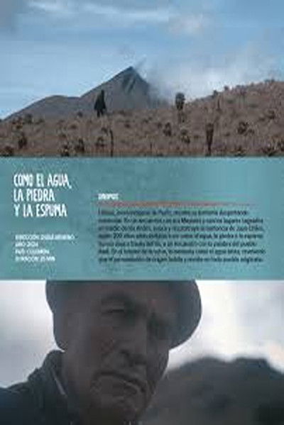Poster do Filme COMO EL AGUA, LA PIEDRA, Y LA ESPUMA
