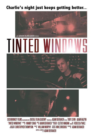 Poster do Filme Tinted Windows