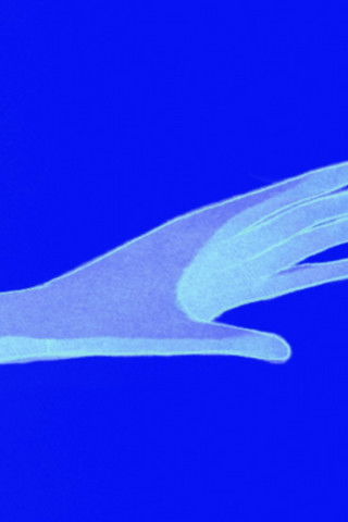 Poster do Filme The Peak Experience