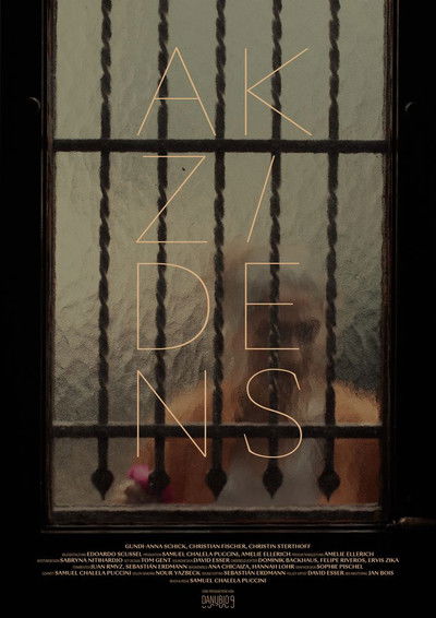 Poster do Filme Akzidens