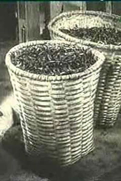 movie poster for Ali Chahvadze's Tea