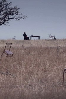 Poster do Filme Птах, що мовчав