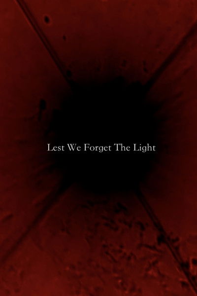 Poster do Filme Lest We Forget The Light