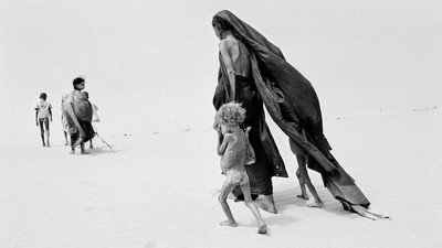 The Salt of the Earth (2014) Watch Online Free | ඔන්ලයින් බලන්න