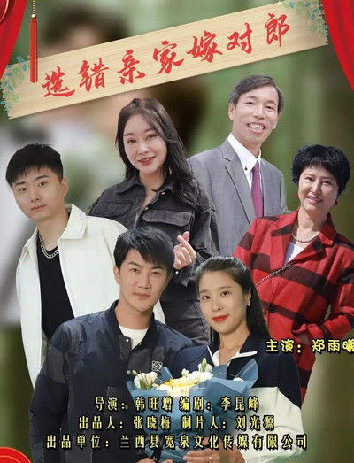 Poster do Filme 选错亲家嫁对郎