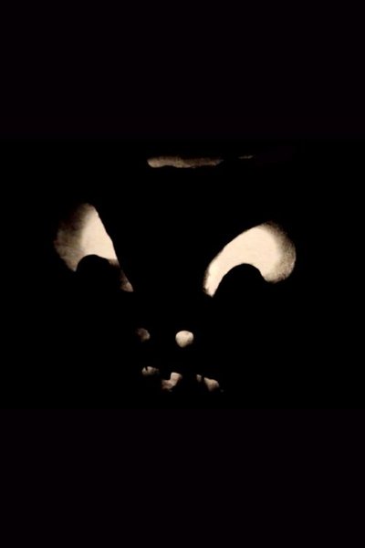 Poster do Filme Jack-O-Lanterns