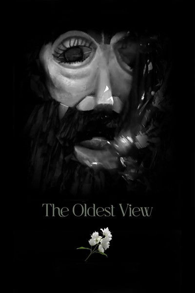 movie poster for The Oldest View