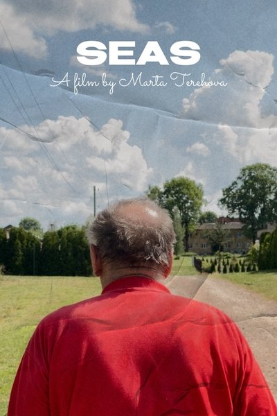 movie poster for Seas