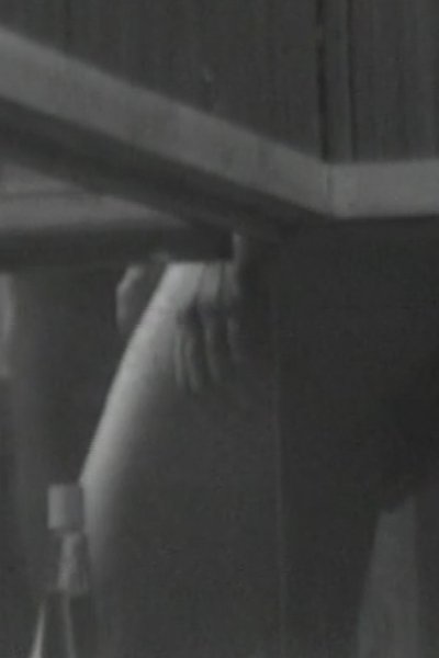 Poster do Filme Sauna View