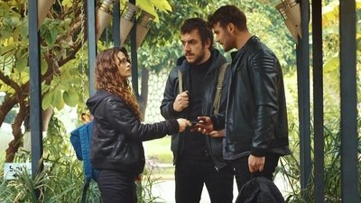 tv poster