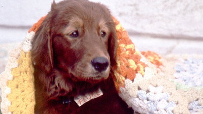 Görsel #282663