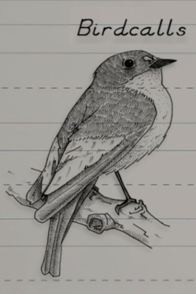 Poster do Filme Birdcalls