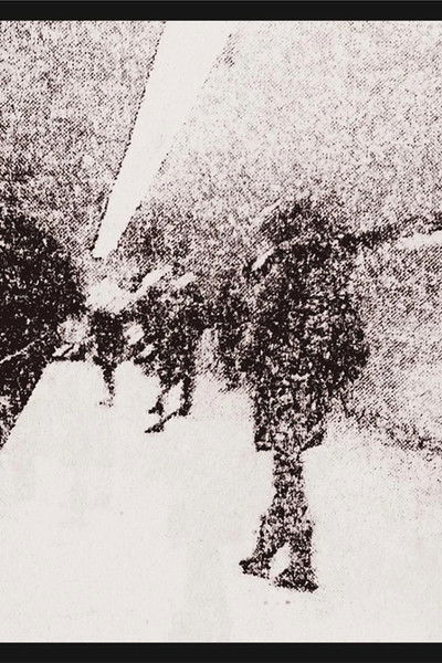 Poster do Filme The Voyage