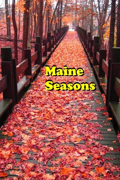 Poster do Filme Maine Seasons